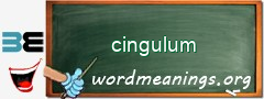 WordMeaning blackboard for cingulum